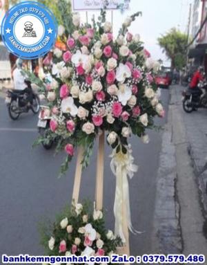 Hoa Khai Trương 48